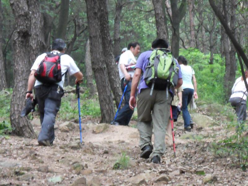 sdc10049.jpg