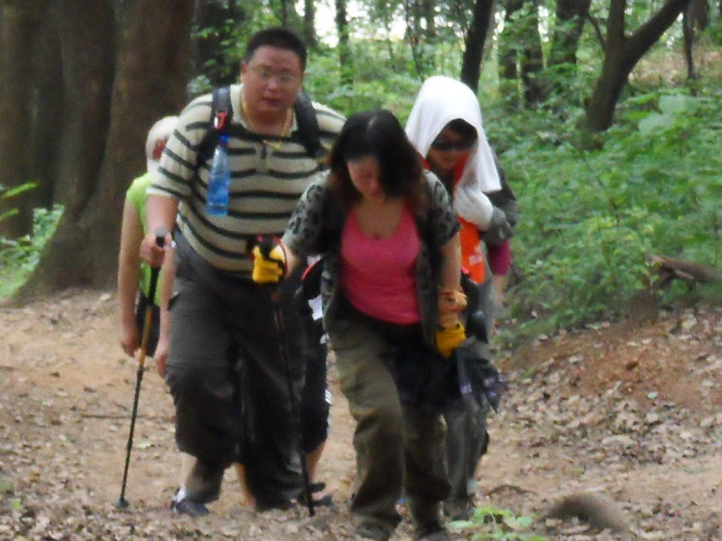 sdc10051.jpg