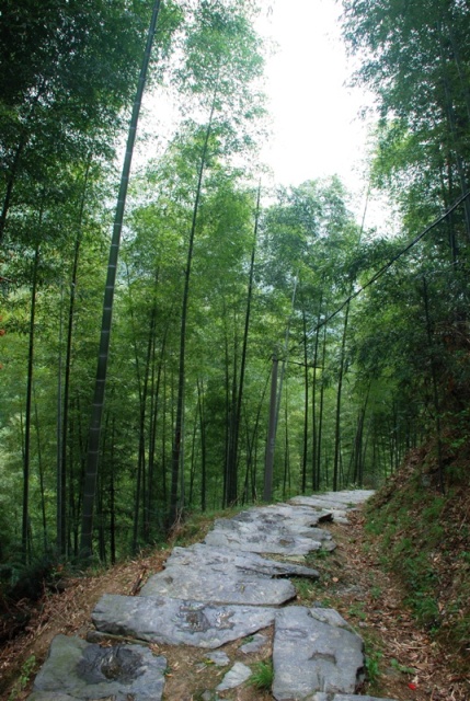 ŵ1.jpg