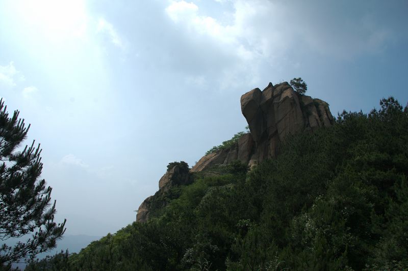img_5462.jpg