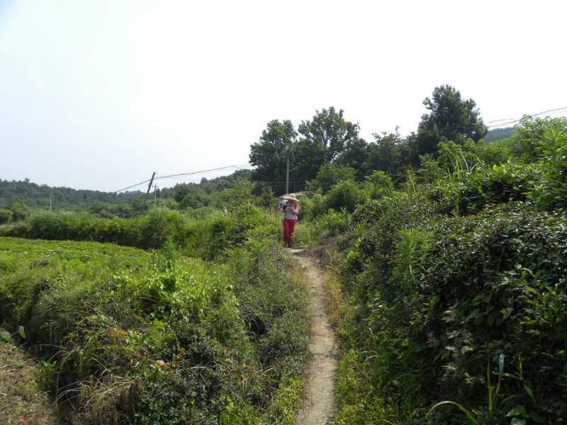 dscn9934_.jpg
