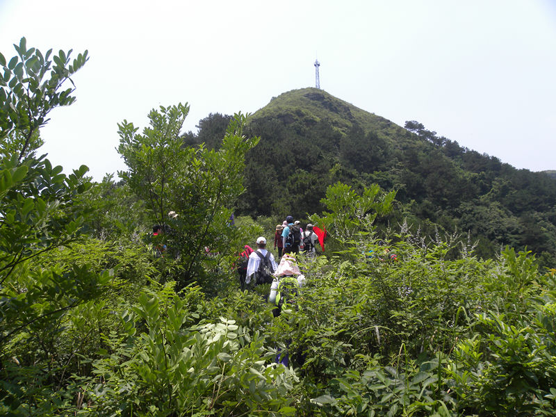 dscn9939_.jpg