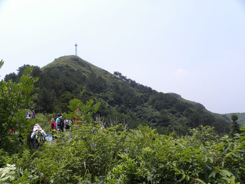 dscn9940_.jpg