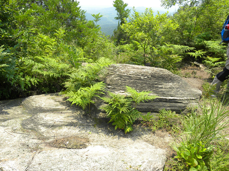 dscn9942_.jpg
