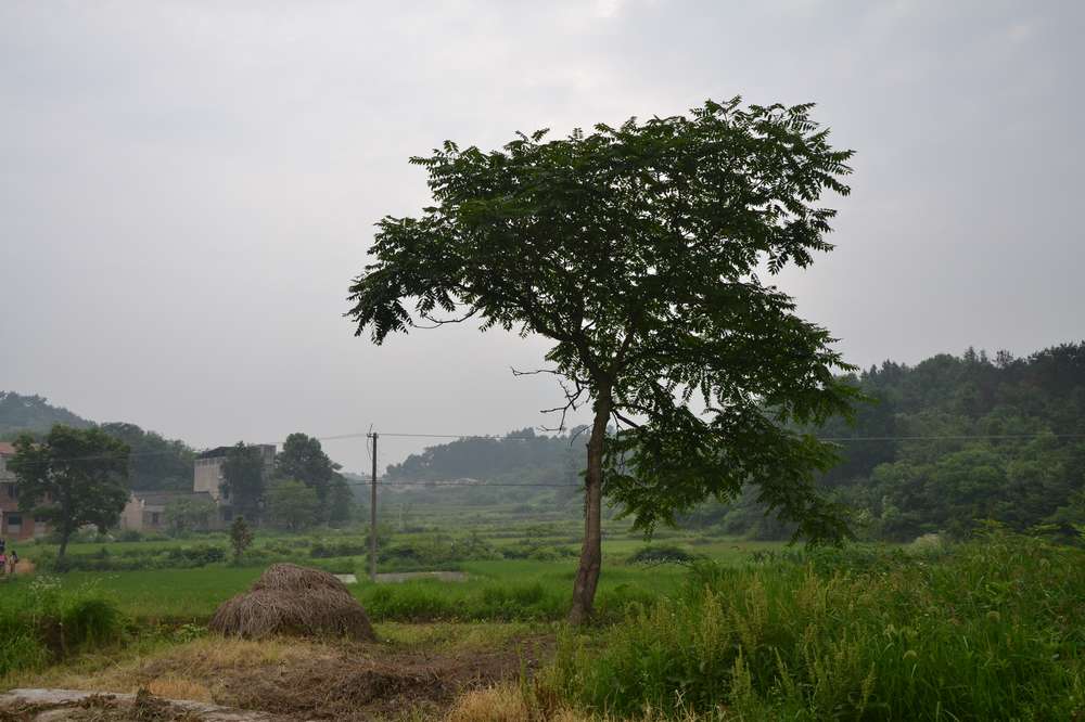 2012.6.10¸005.jpg