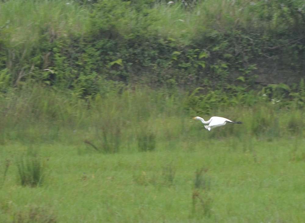 2012.6.10¸012.jpg