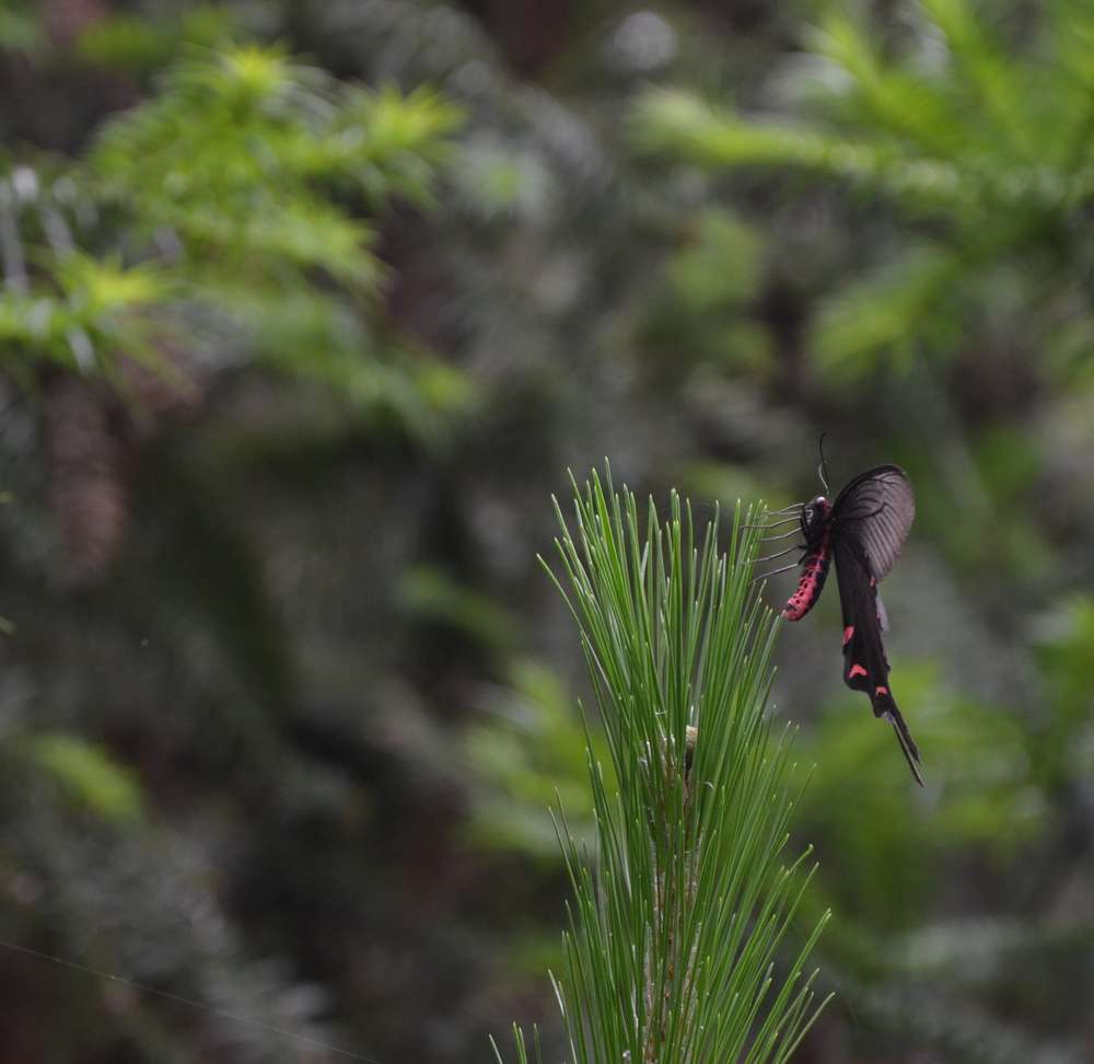 2012.6.10¸017.jpg