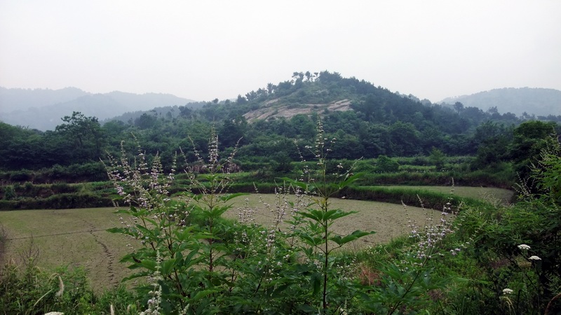 dscf1630.jpg