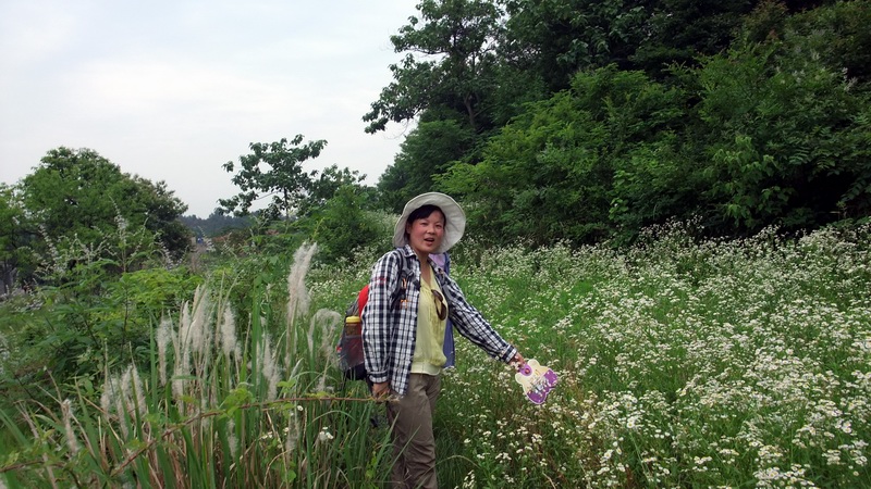 dscf1670.jpg