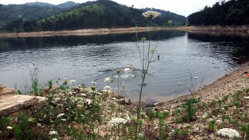 dscf1677.jpg