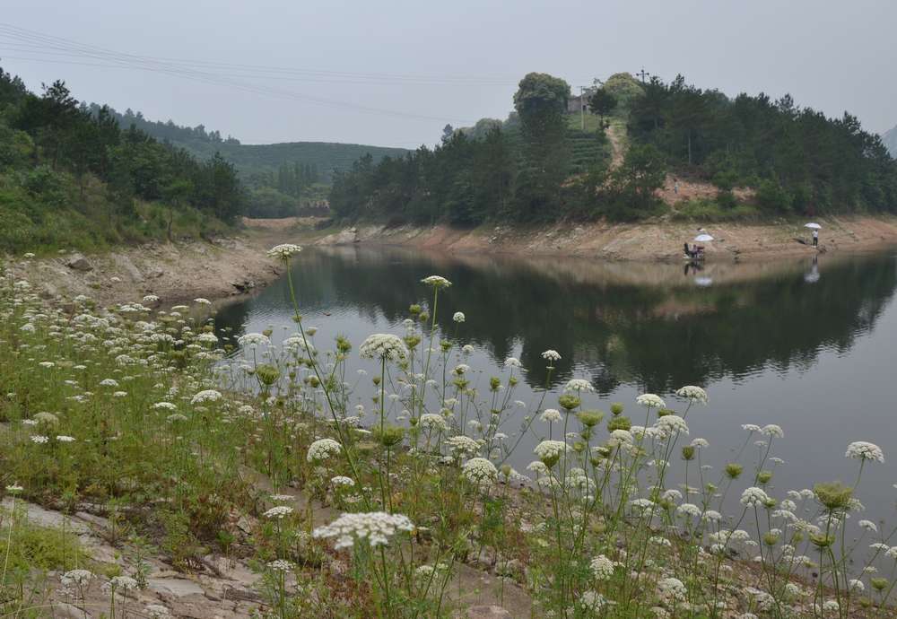 2012.6.10¸022.jpg