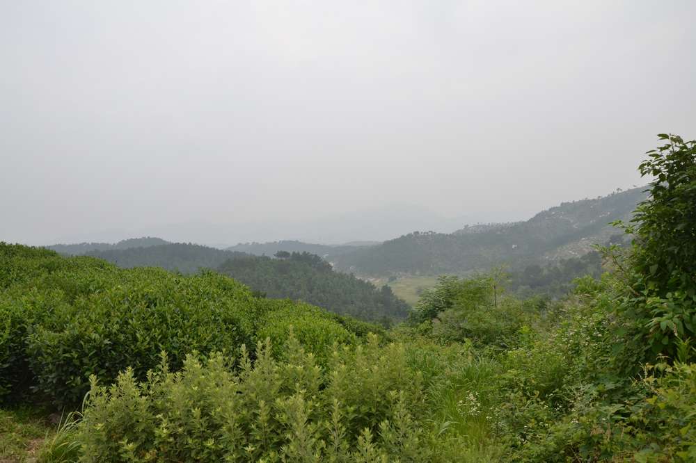 2012.6.10¸031.jpg