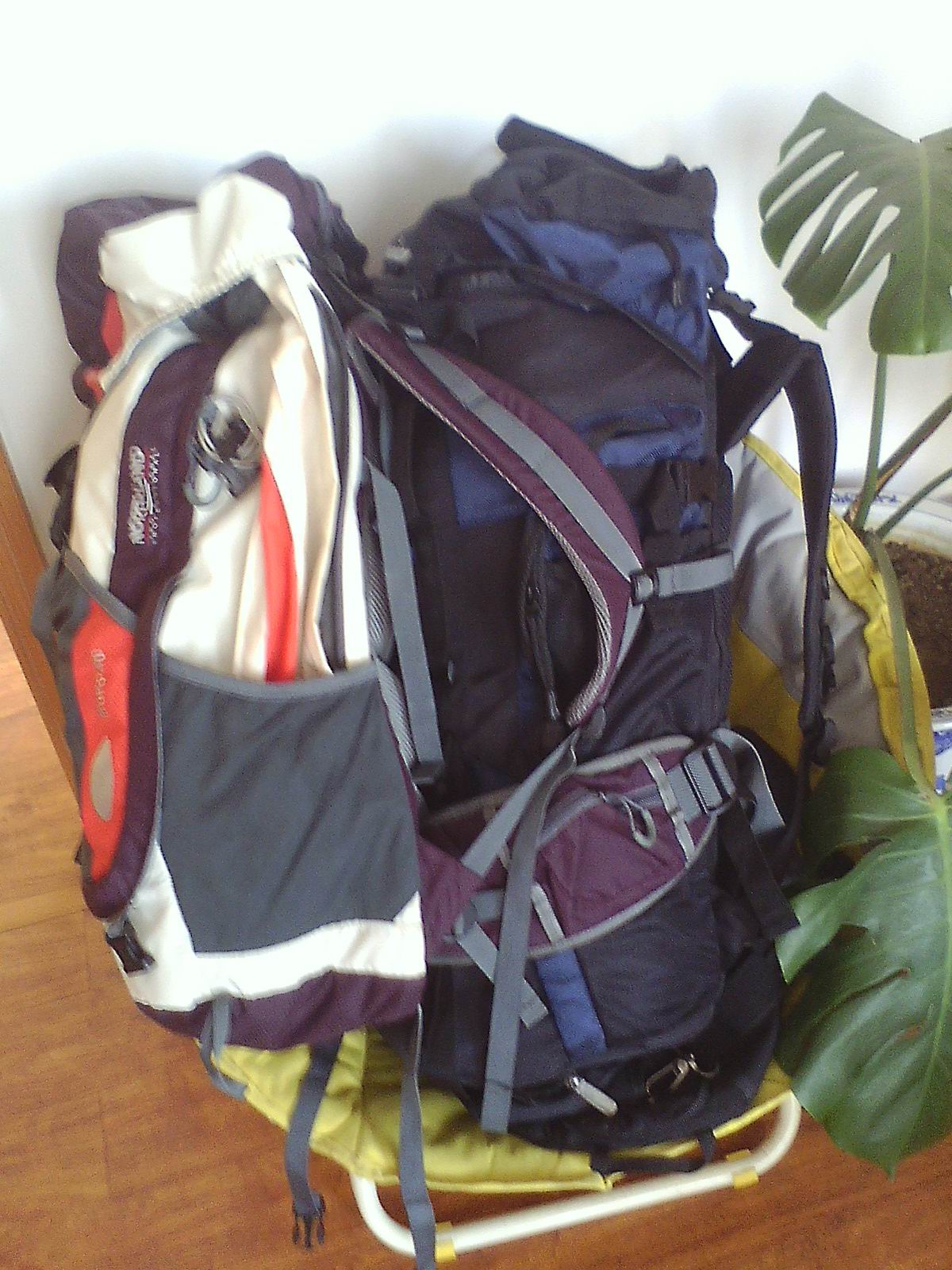 img0613082500.jpg