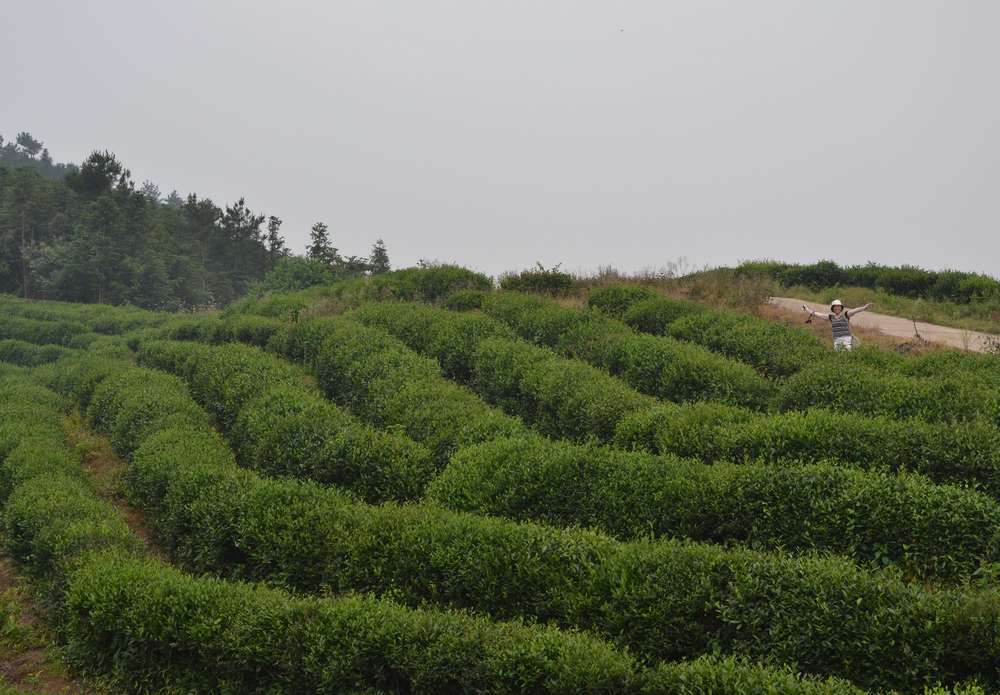 2012.6.10¸041.jpg