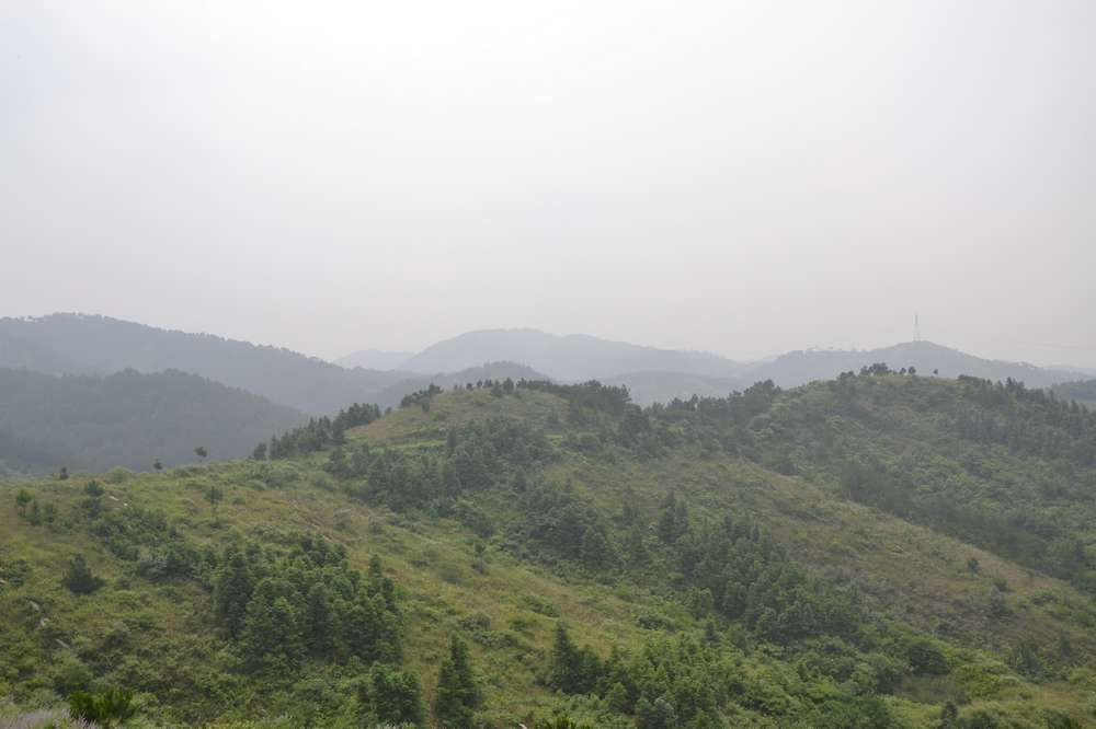 2012.6.10¸053.jpg