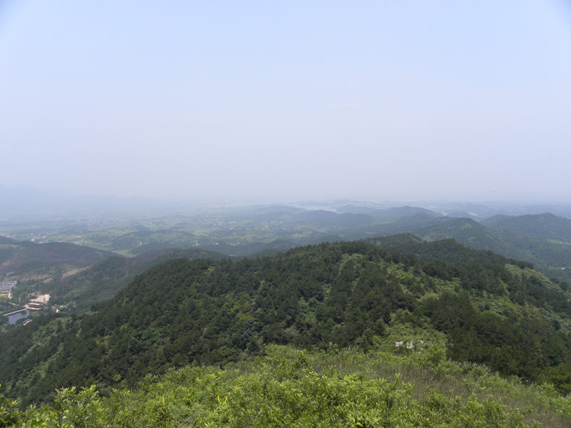 dscn9955_.jpg
