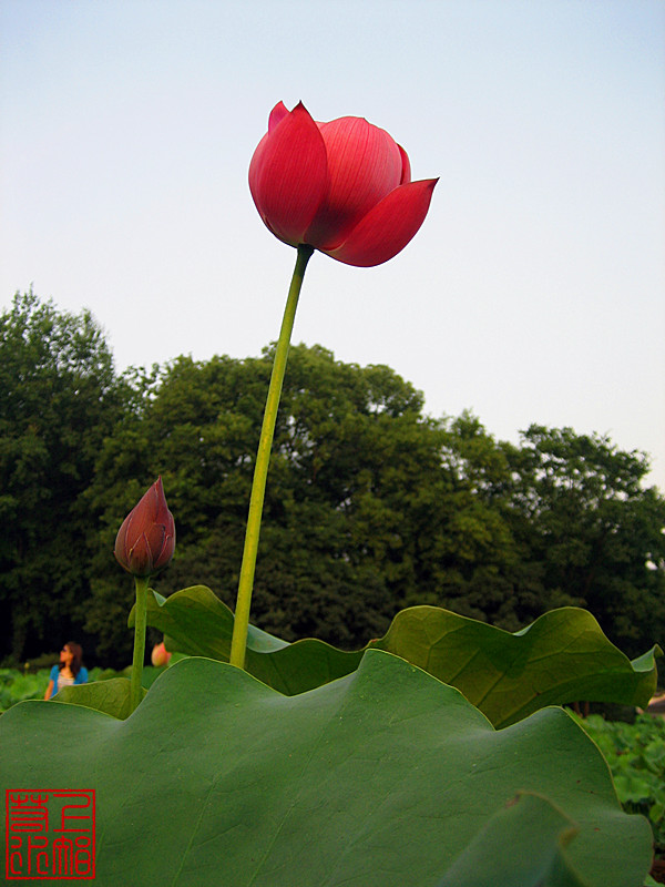 img_2501_1.jpg