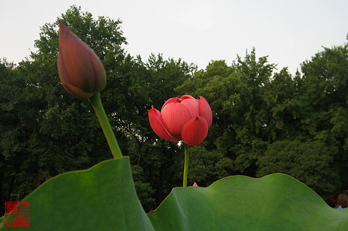 img_2503_1.jpg