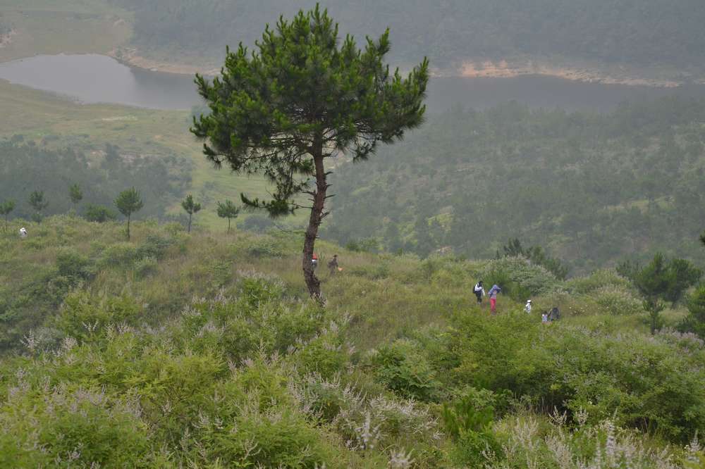 2012.6.10¸057.jpg