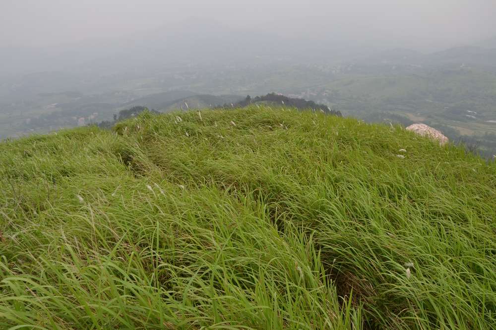 2012.6.10¸069.jpg