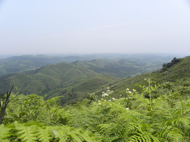 dscn9981_.jpg