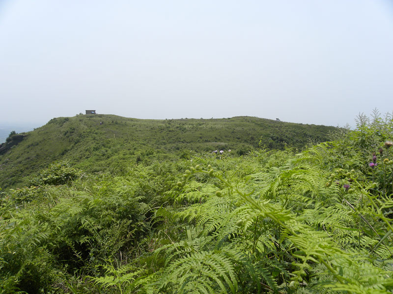 dscn9983_.jpg