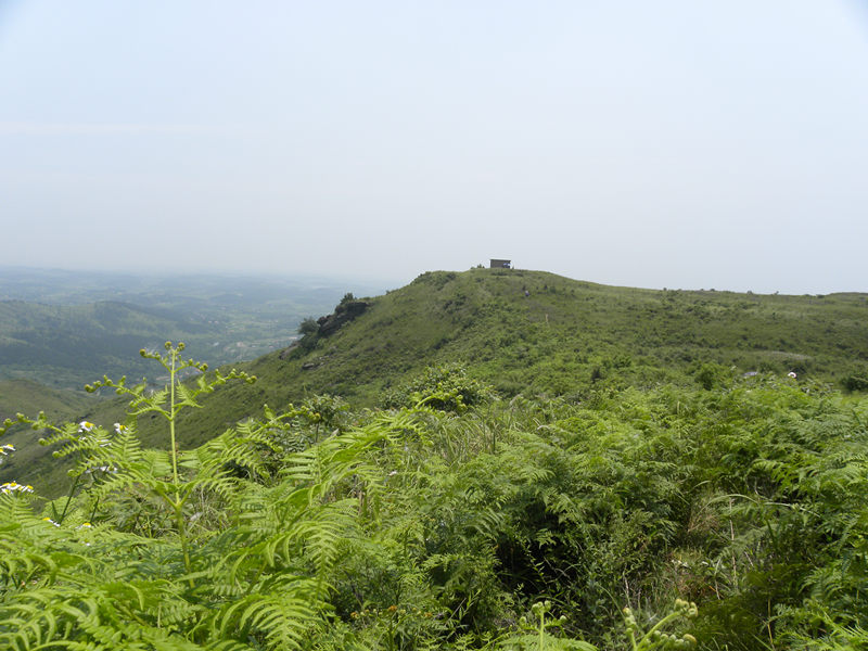 dscn9982_.jpg