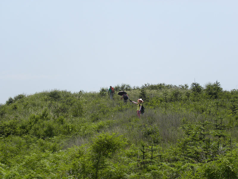 dscn9985_.jpg