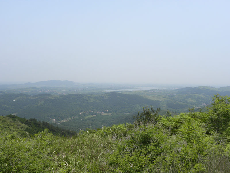 dscn9988_.jpg