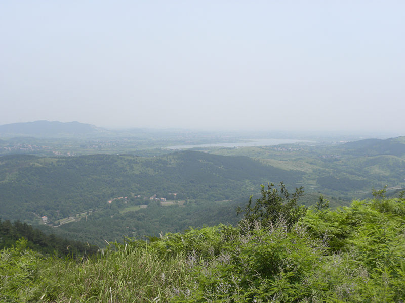 dscn9989_.jpg