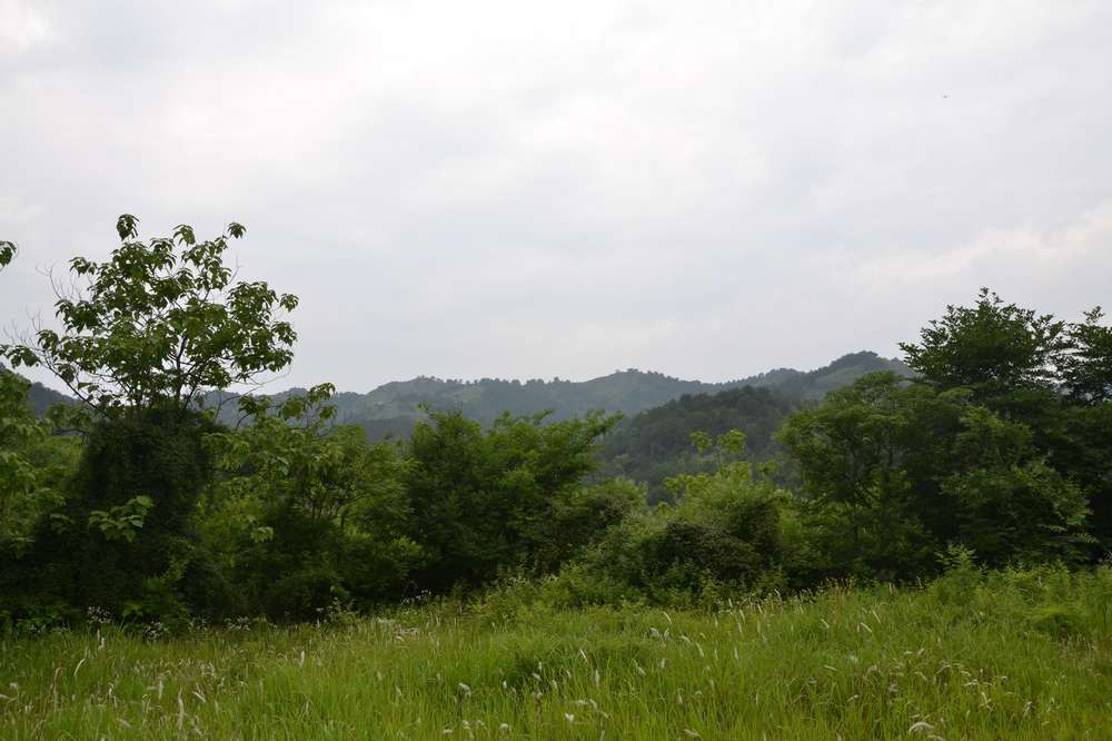 2012.6.10¸107.jpg