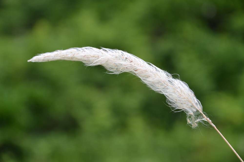 2012.6.10¸108.jpg