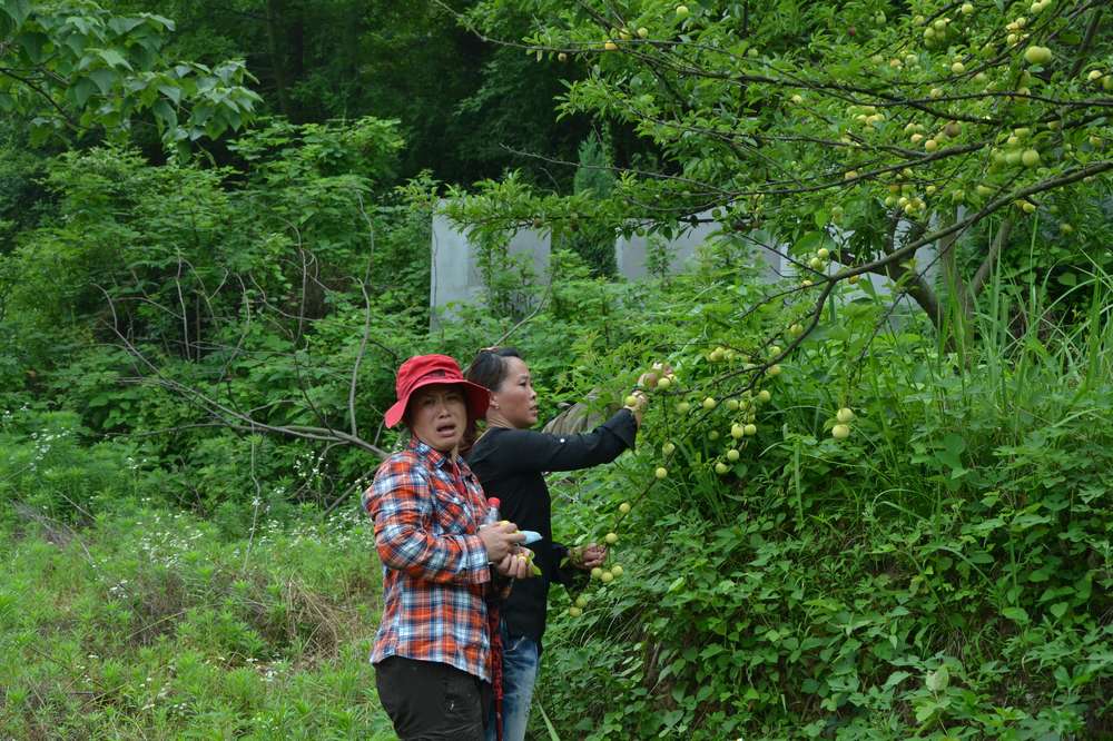 2012.6.10¸116.jpg