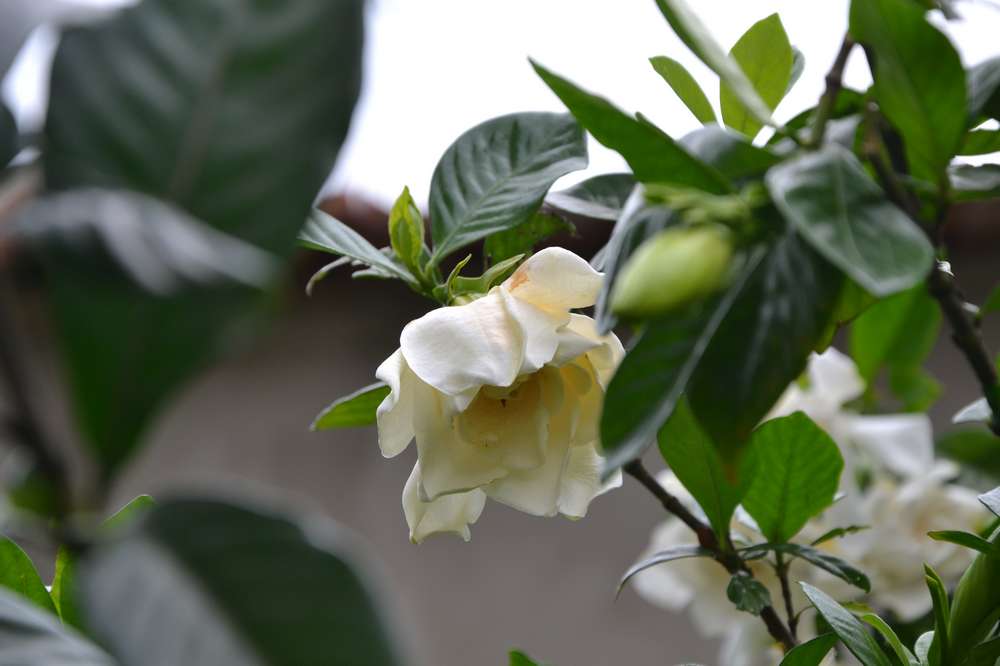 2012.6.10¸122.jpg