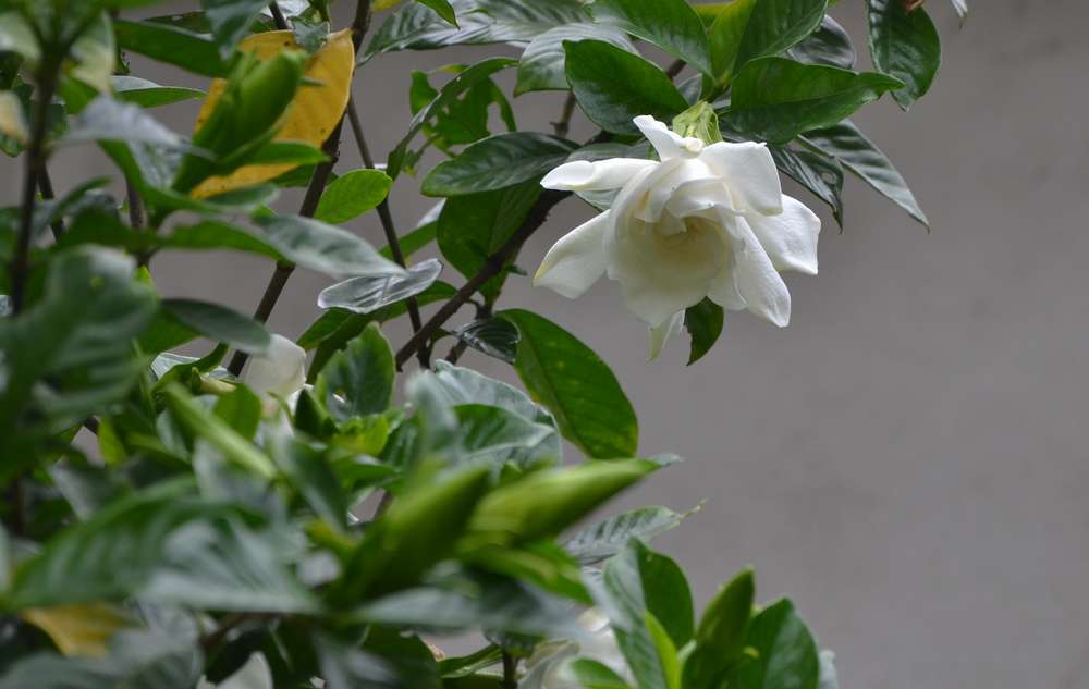 2012.6.10¸124.jpg