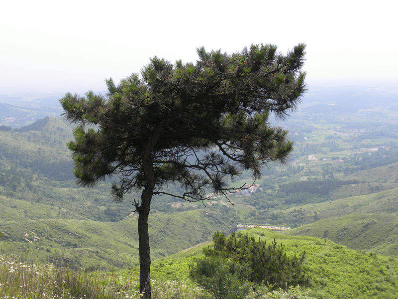 dscn0017_.jpg