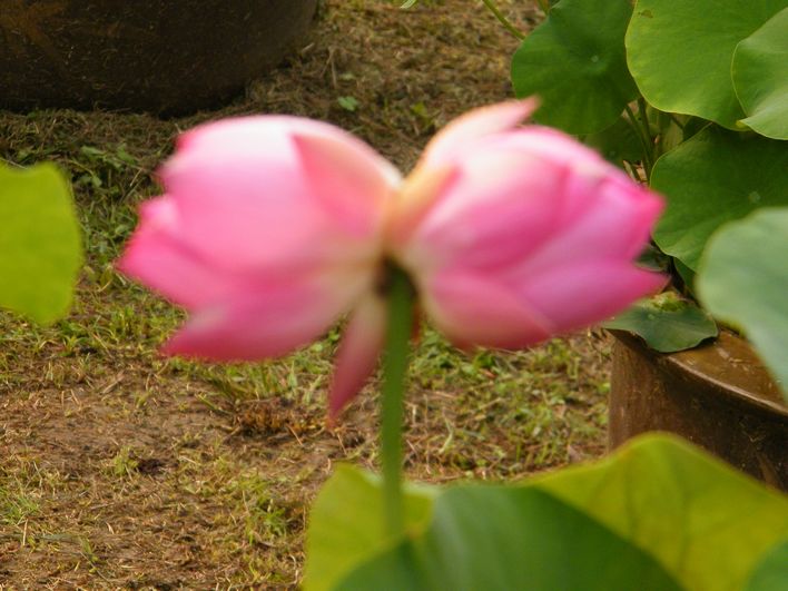 neo_img_dscf9987.jpg