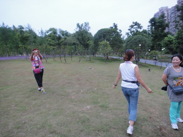 dsc01307.jpg