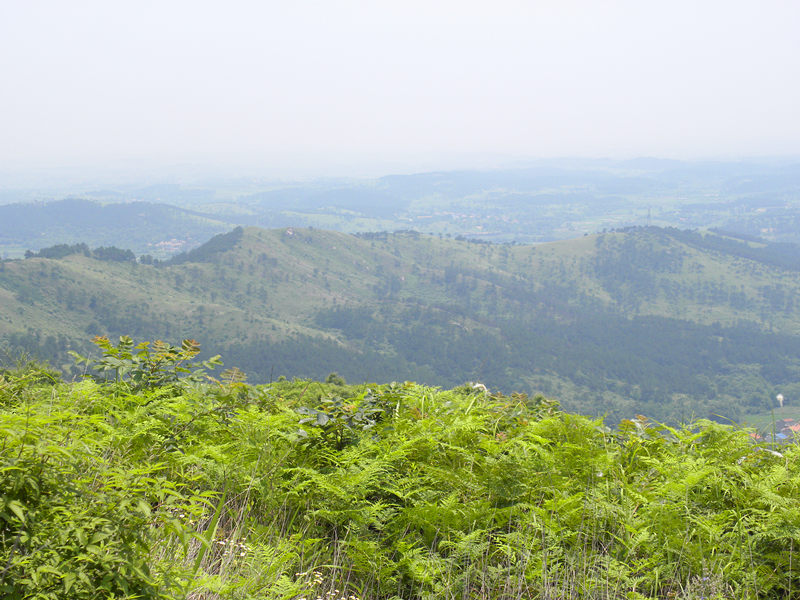 dscn0024_.jpg