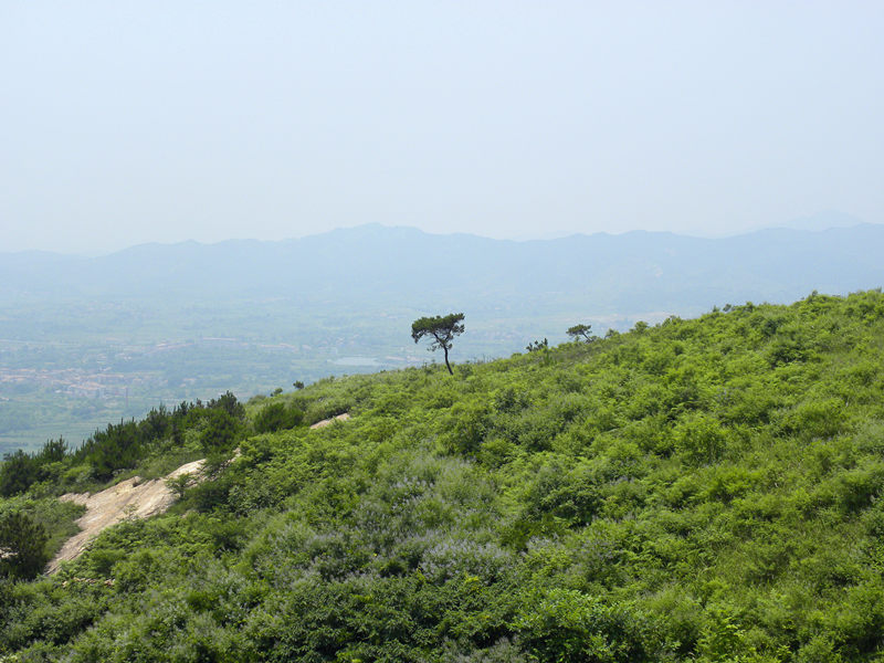 dscn0023_.jpg