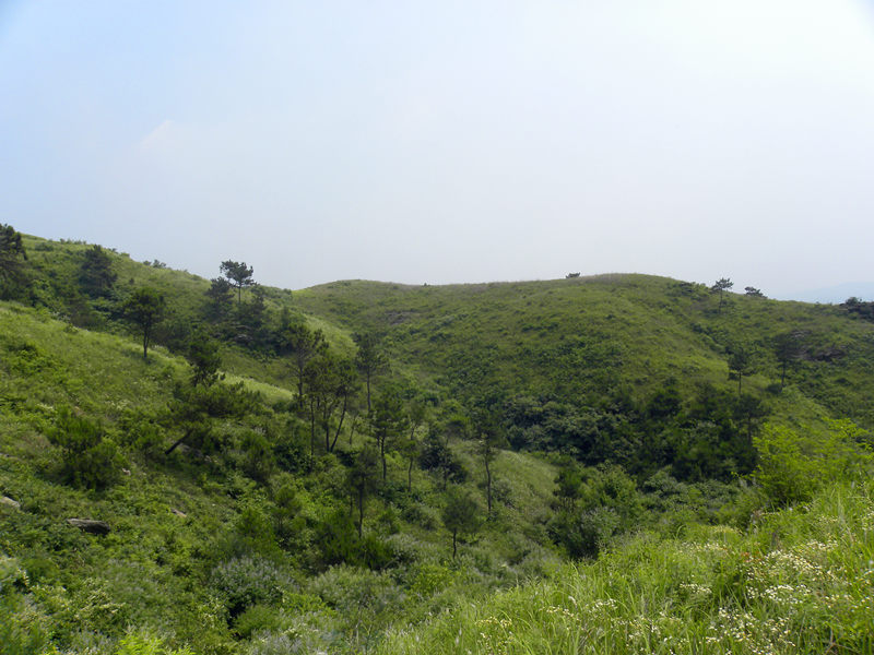 dscn0047_.jpg