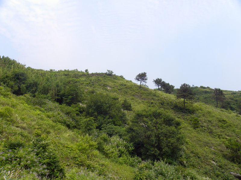 dscn0048_.jpg