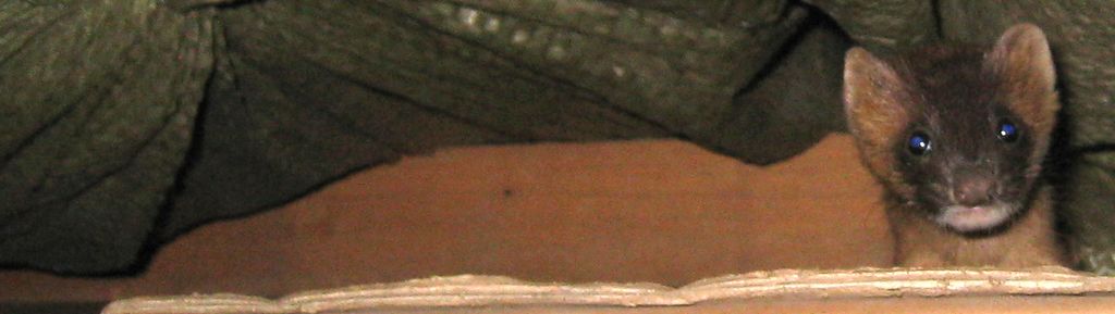 img_0304.jpg