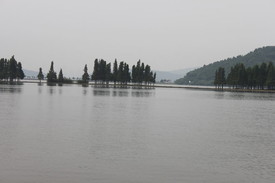 Ƭ 059.jpg