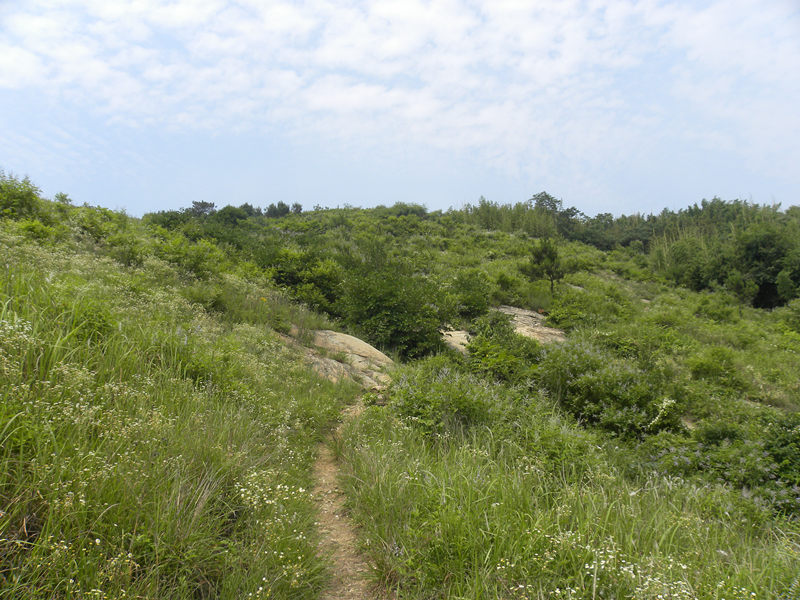 dscn0053_.jpg