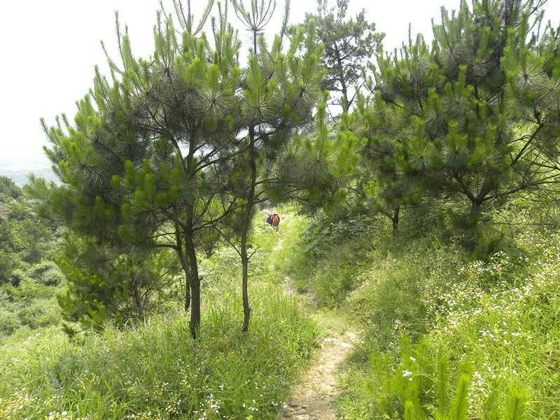 dscn0055_.jpg