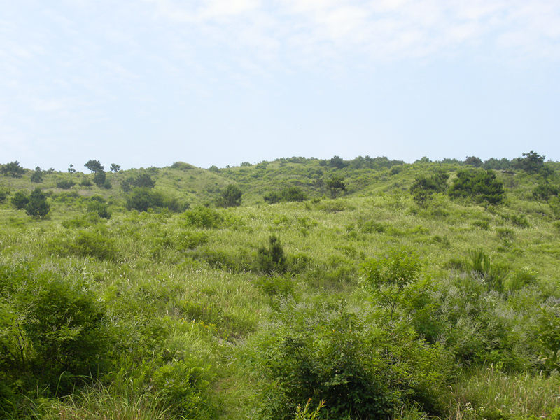 dscn0057_.jpg