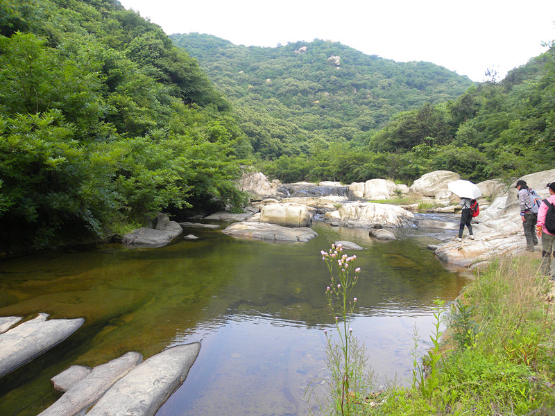 dscn9455_.jpg