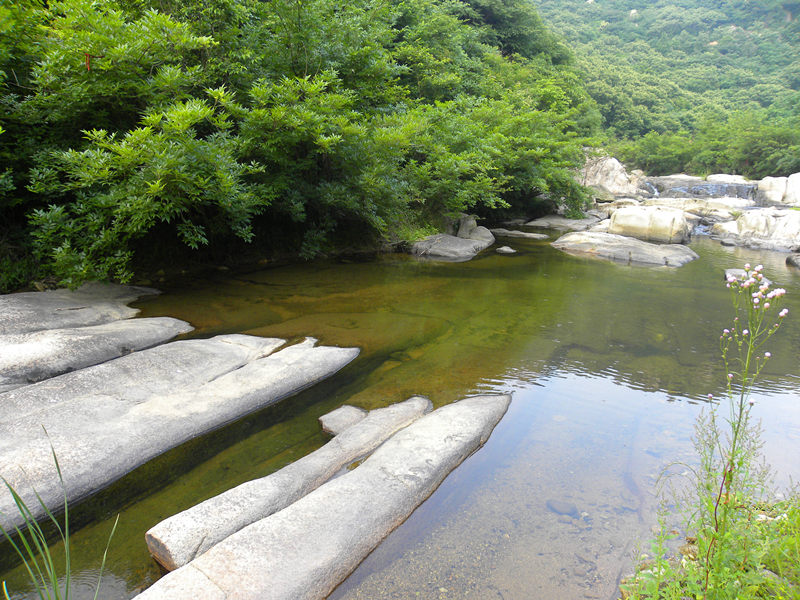 dscn9456_.jpg