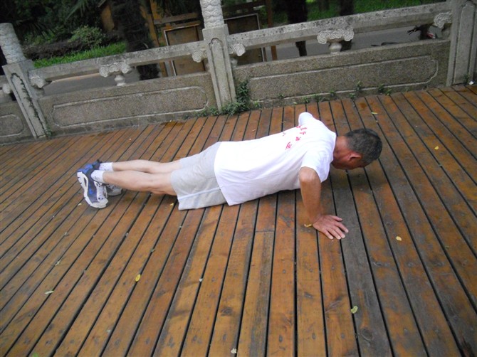 psbcatroxo3.jpg